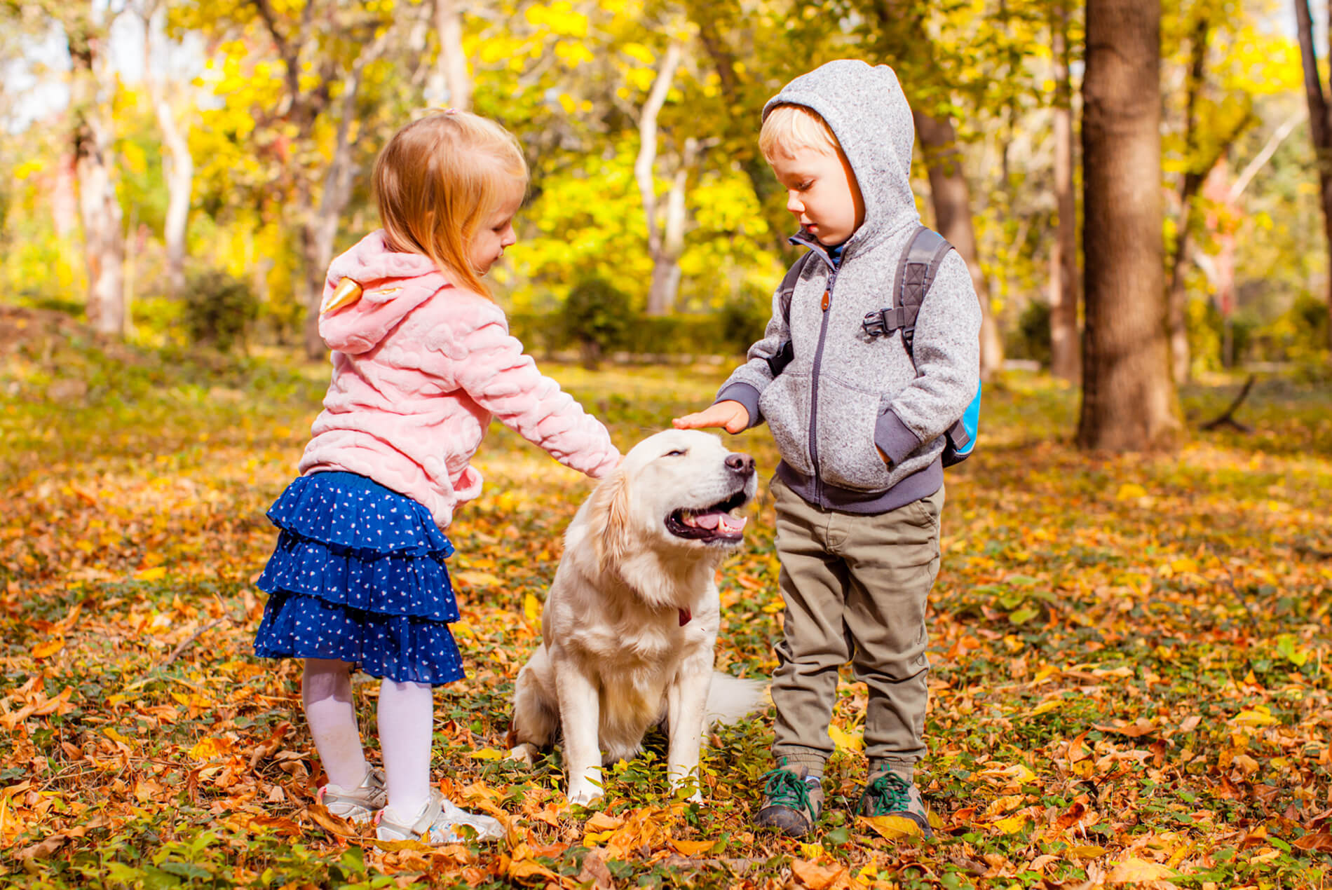 Golden Retriever brincando com duas crianças