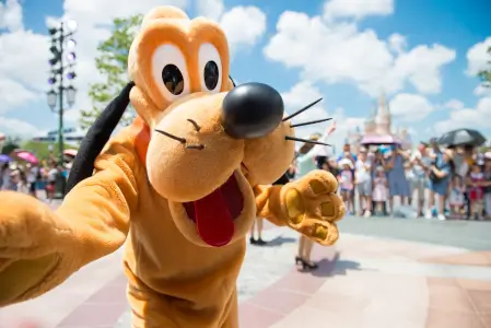 Pluto da Disney é da raça bloodhound