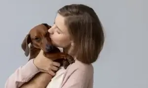 Adoção cachorro