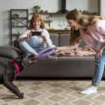 Como brincar com cachorro dentro de casa: 5 dicas fáceis!