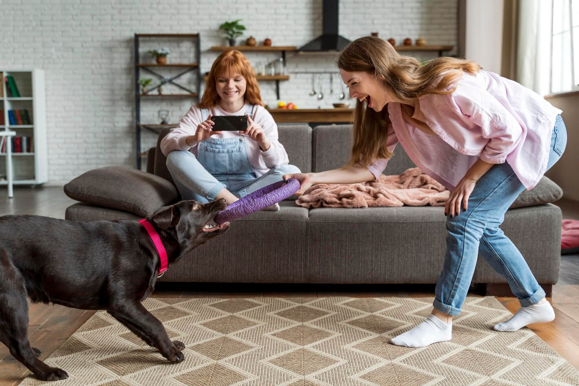 Brincar com cachorro dentro de casa